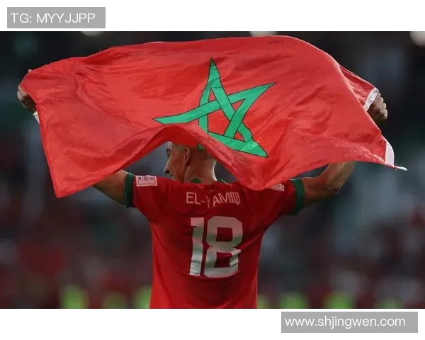 以足球星两米为核心展开球队战术体系全面解读