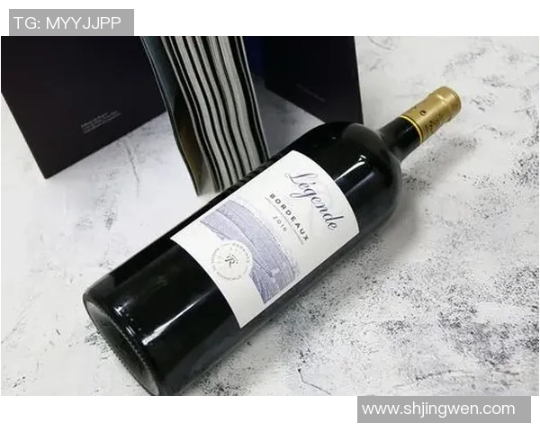 拉菲足球传奇：从天赋少年到世界顶级球员的奋斗历程